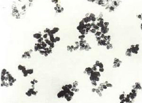 加工完成的熱解法炭黑結(jié)構(gòu)圖